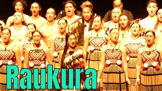 Kapa Haka performance  Raukura  Matariki festival 2019 [upl. by Nnail]