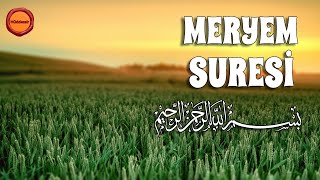 Meryem Suresi  İslam Subhi [upl. by Yltnerb]