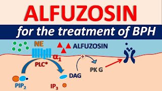 Alfuzosin HCl  Uses side effects amp precautions  For BPH [upl. by Schroer26]