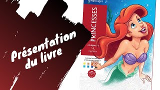 Disney Princesses  coloriages Mystères  Hachette Heroes [upl. by Akirderf]