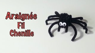 DIY Déco Halloween Araignée fil chenille [upl. by Bettencourt941]