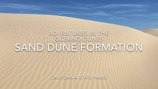 Sand Dune Formation and the Rock Cycle [upl. by Reffotsirk]