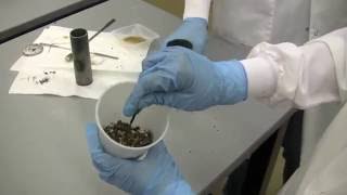 From Seed to Oil  Processing of Jatropha Curcas [upl. by Tingley557]