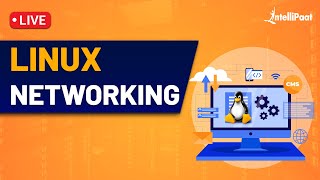 Linux Networking  Linux Networking Commands  Linux Networking Tutorial  Intellipaat [upl. by Neral916]