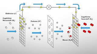 Brennstoffzellen einfach erklärt  Klemens klärt Chemie [upl. by Holle129]
