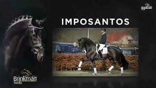 Imposantos Winton x Krack C [upl. by Bathulda]