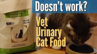 Dont Feed Veterinary Diet for Urinary Disease in Cats [upl. by Yentihw]