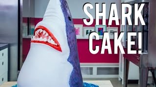 How To Make A SHARK CAKE Chomp down on CHOCOLATE CAKE for SHARK WEEK [upl. by Irisa]