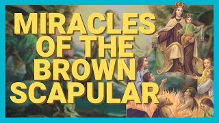 17 Miracles of The Brown Scapular [upl. by Rydder]