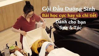 BÀI HỌC GỘI ĐẦU DƯỠNG SINH CHIA SẺ BỞI CÔ MINH ĐAN [upl. by Tomasine519]