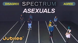 Do All Asexuals Think the Same  Spectrum [upl. by Shae]