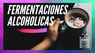 FERMENTACION ALCOHOLICA  Asi TRABAJAN las LEVADURAS [upl. by Amhsirak]