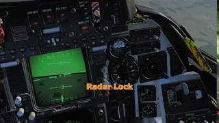 DCSF14B Tomcat  RWR Sounds [upl. by Hayyifas]