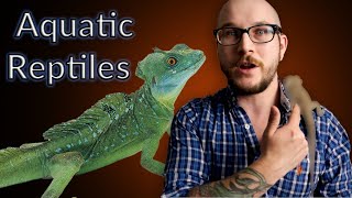 Top 5 Aquatic Reptiles That Make GREAT Pets [upl. by Ellehsem345]