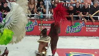 Carnaval Gualeguaychú 2022 comparsa Mari Mari 🌚 noche del 190222 [upl. by Nappie]