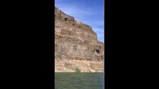 Cow falls from 900 feet from coulee cliff in the Blue Lake basin Near Soap Lake area [upl. by Nallad]