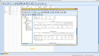 SPSS  Correspondence Analysis [upl. by Eiluj]