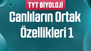 1 Canlıların Ortak Özellikleri 1 TYT Biyoloji Kampı [upl. by Cornel]