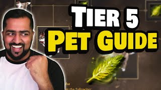 BDO Tier 5 Pet Guide  Black Desert Online 2022 [upl. by Busiek680]