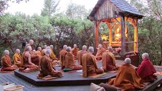 Pali Chanting In The Abhayagiri Buddhist Monastery  Theravada Buddhism [upl. by Nylqcaj]