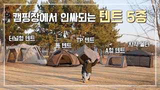 종류별 텐트 추천 5종 리뷰 feat 노마드 도곤4  제인아츠 제쿠  아콘하우스  DOD 왈라비  백컨트리 320쉘터 [upl. by Blessington658]