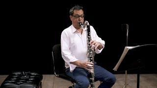 Instrument Bass Clarinet In Depth [upl. by Eibocaj]