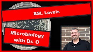 BSL Biosafety Levels Microbiology Lab [upl. by Ecirahs861]