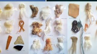 Textile Fiber and Its properties [upl. by Okemak]