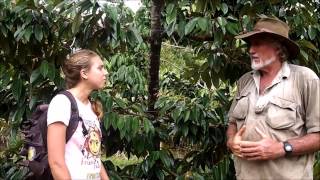 Growing Durian on the Tatura Trellis [upl. by Koehler]