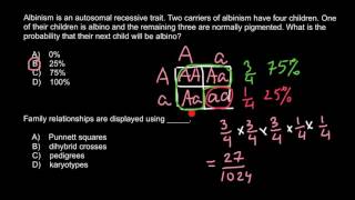 Genetic probability of albinism [upl. by Melly769]