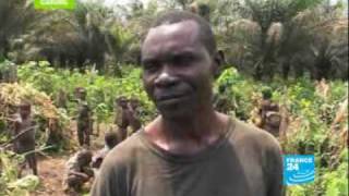 Pygmies endangered people [upl. by Kesley899]