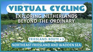 Fietsroute NoordoostFriesland en Waddenzeegebied  Virtueel Fietsen [upl. by Gamali]