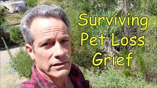 Surviving Pet Loss Grief [upl. by Eimiaj]