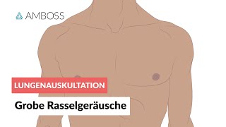 Grobe Rasselgeräusche  Lungenauskultation  Folge 3  AMBOSS Video [upl. by Rramahs]