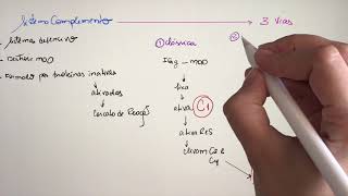 Imunologia Sistema Complemento [upl. by Gemma]