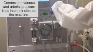 How to setup a dialysis Machine part II Hemodialysis Training [upl. by Luht]