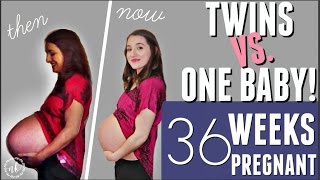 TWINS VS ONE BABY Comparing my Pregnancies  WEEK 36 UPDATE [upl. by Novihs]