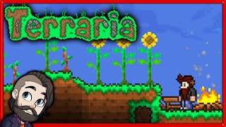 A Beginners Guide to the Terraria Calamity Mod [upl. by Nimref443]