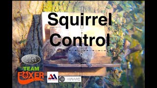 Squirrel Control Air Arms S510 [upl. by Paulsen]