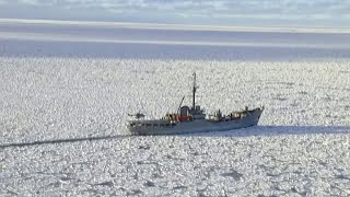 La Antártica Un Continente Sin Fronteras [upl. by Vasquez]