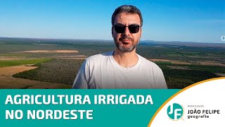 AGRICULTURA IRRIGADA NO NORDESTE [upl. by Jurkoic]