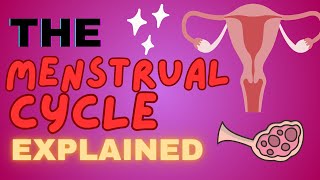 Female Reproductive System Menstrual Cycle Explained [upl. by Frederigo812]