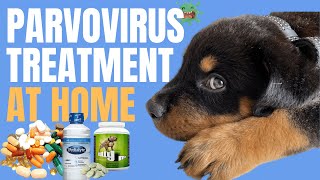 Canine Parvovirus in Dogs  Parvo Treatment at Home [upl. by Aikat]