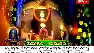 Sri Rudram  with Telugu Lyrics [upl. by Alyat]