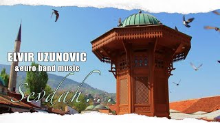 Elvir UzunovicSplet bosanskih sevdalinki na harmoniciinstrumental [upl. by Hadik]