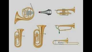 instrumentos de viento metal [upl. by Attayek]