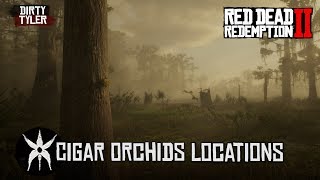 RDR2 All Cigar Orchid Locations Red Dead Redemption 2 [upl. by Sanfourd438]