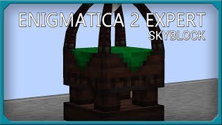 Enigmatica 2 Expert Skyblock EP18 Thaumcraft Progression [upl. by Inittirb]