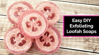 DIY Exfoliating Loofah Soaps [upl. by Oinotnas24]