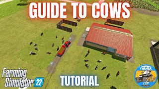 GUIDE TO COWS  Farming Simulator 22 [upl. by Enilauqcaj850]